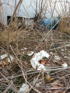 20140315_091721_resized_1