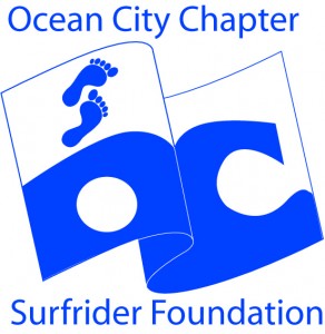 OC+FLAG+SURFRIDER+illustrator-Blue+print