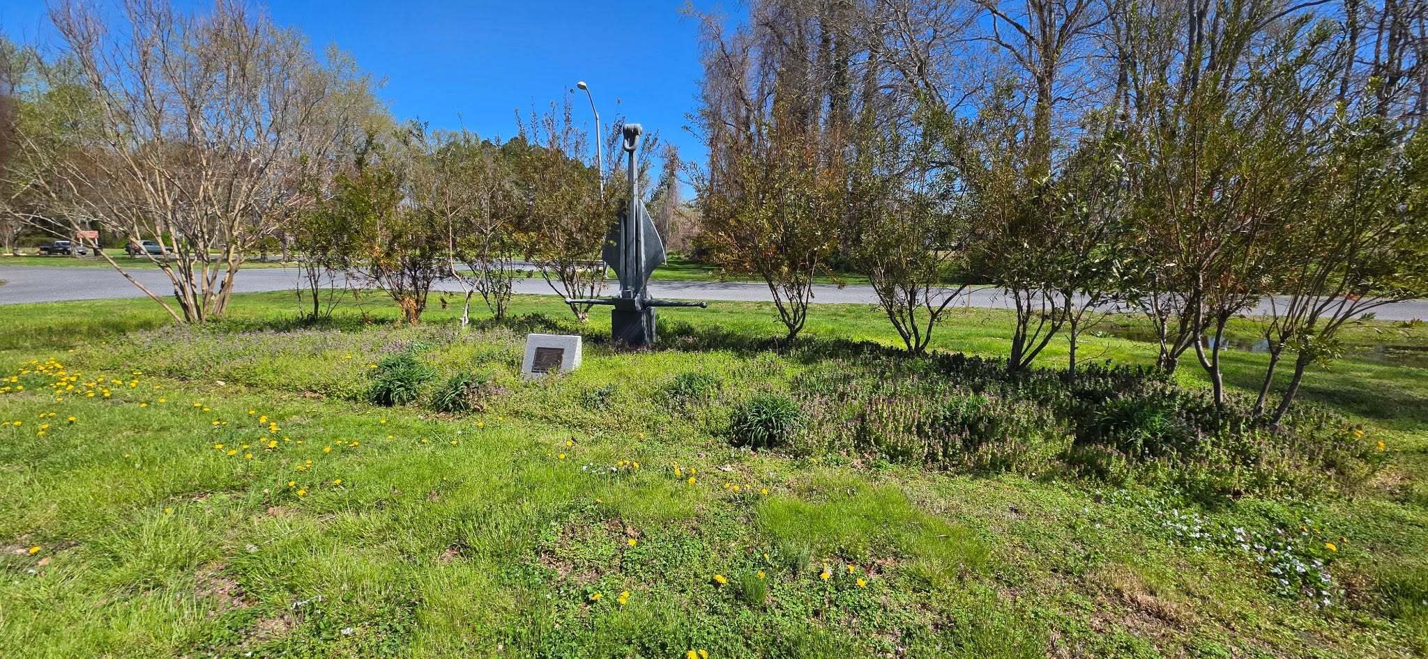 A view of the garden
